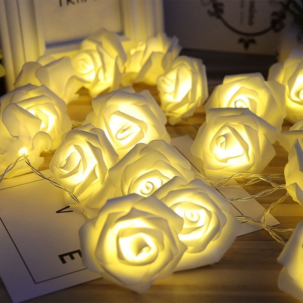Lichtermeer aus Rosen